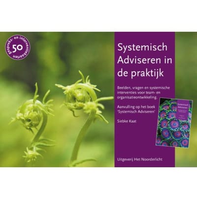 Systemisch Adviseren In De Praktijk - Siebke Kaat