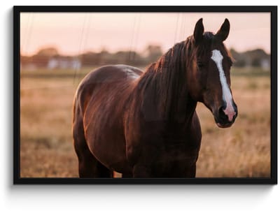 Poster in lijst - Fotolijst 90x60 cm - Posters - Paard - Zonsondergang - Bruin - Posterlijst zwart - Decoratie - Wanddecoratie woonkamer - Muurdecoratie slaapkamer