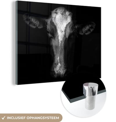 MuchoWow® Glasschilderij 160x120 cm - Schilderij acrylglas - Koe - Dieren - Zwart - Foto op glas - Schilderijen