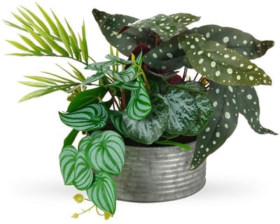 Kunstbloem in pot Begonia maculata, 28 cm