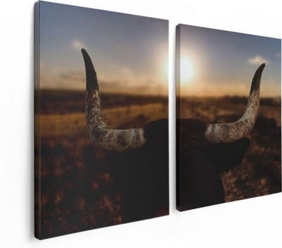 Artaza Canvas Schilderij Tweeluik Stierenhoorns Bij Zonsondergang - 120x80 - Foto Op Canvas - Canvas Print