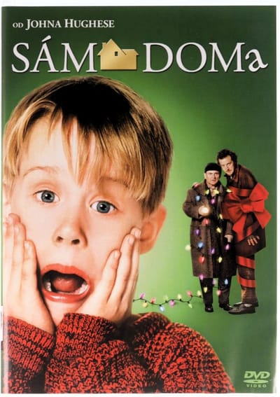 Home Alone [DVD]