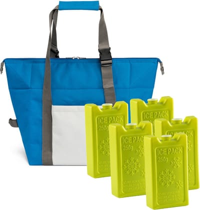 Grote isolatie koeltas blauw 38 x 33 x 18 cm met 5x stuks groene koelelementen van 250 ML