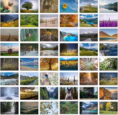 48 Blanco Wenskaarten met Natuurfoto's en Blauwe Enveloppen