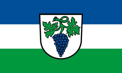 Vlag Weingarten 100x150cm