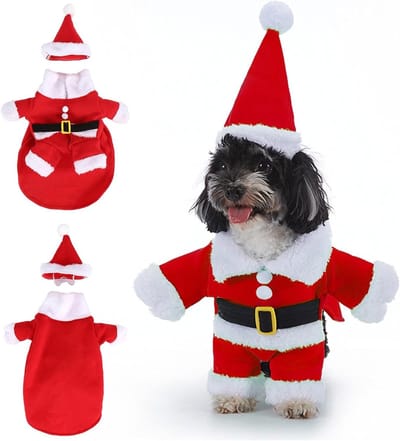 Kerstkostuum voor Honden en Katten - Feestelijk Dierenoutfit met Hoed voor Kerst en Verjaardagen (M)