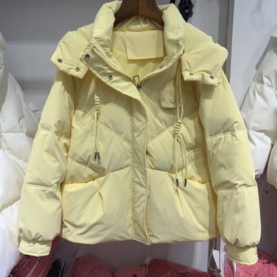 Nieuwe Witte Eendendons Leave-in Donsjas Dames Kort Warm Broodjack Verdikte Jas S
