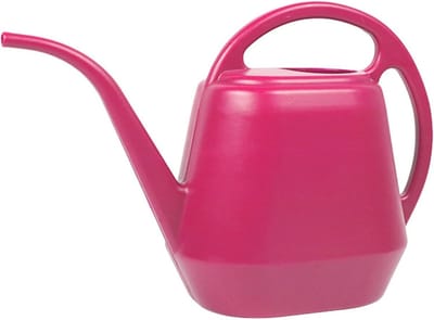 Gietkan met Lange Tuit 4 Liter - Ideaal voor Binnen- en Buitenplanten