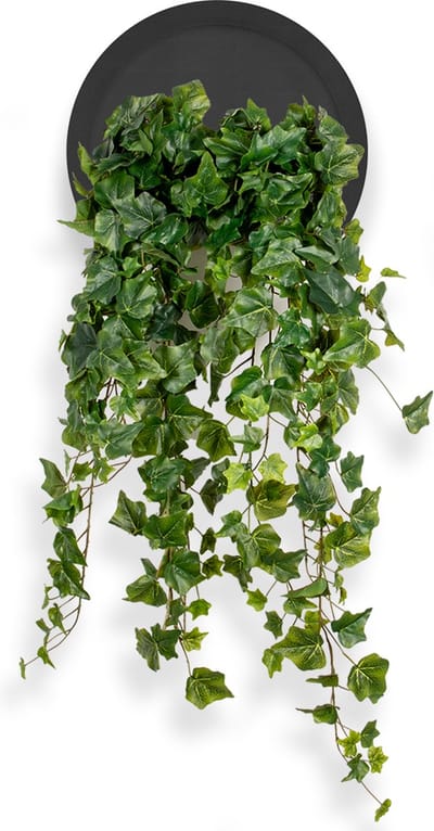Kunstplant Hedera groen in Wally Ø30 cm zwart - HTT Decorations kunstplanten
