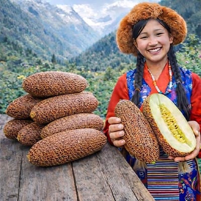 Komkommer zaden - Sikkim komkommer
