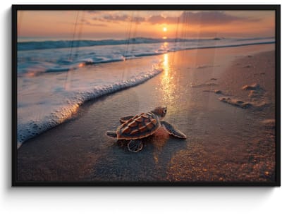Poster in lijst - Fotolijst 120x80 cm - Posters - Schildpad - strand - Zonsondergang - Posterlijst zwart - Decoratie - Wanddecoratie woonkamer - Muurdecoratie slaapkamer