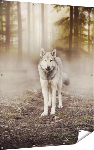 Gards Tuinposter Grijze Wolf in het Bos - 120x160 cm - Tuindoek - Tuindecoratie - Wanddecoratie buiten - Tuinschilderij