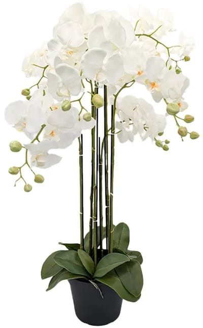 Orchidee Kunstplant 6-tak 88 cm - Wit
