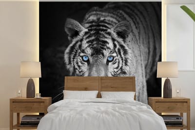 Behang - Fotobehang Dieren - Tijger - Zwart wit - Ogen - Blauw - Breedte 240 cm x hoogte 240 cm