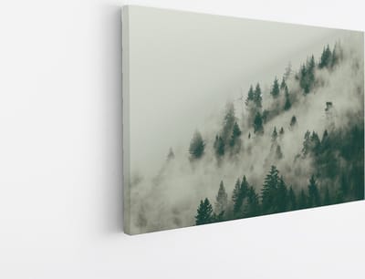 Saammp Canvas Schilderij - Mist tussen de bomen - Landschap - Natuur - 45x30 - Foto op canvas - Wanddecoratie - Muurdecoratie Woonkamer - Slaapkamer decoratie - Canvas Print