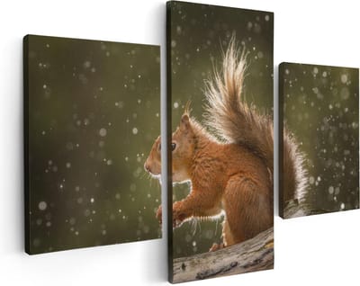 Artaza Canvas Schilderij Drieluik Eekhoorn in de Regen - 90x60 - Foto Op Canvas - Canvas Print
