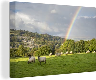 Canvas Schilderij De schapen op een weiland naast een regenboog - 90x60 cm - Wanddecoratie