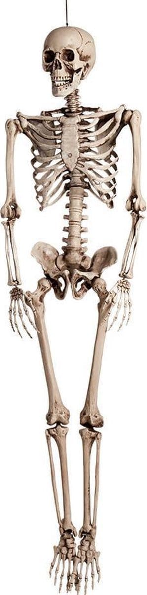 Boland Halloween hangend skelet - 160 cm - levensgroot - halloween - horror - thema versiering - halloween pop