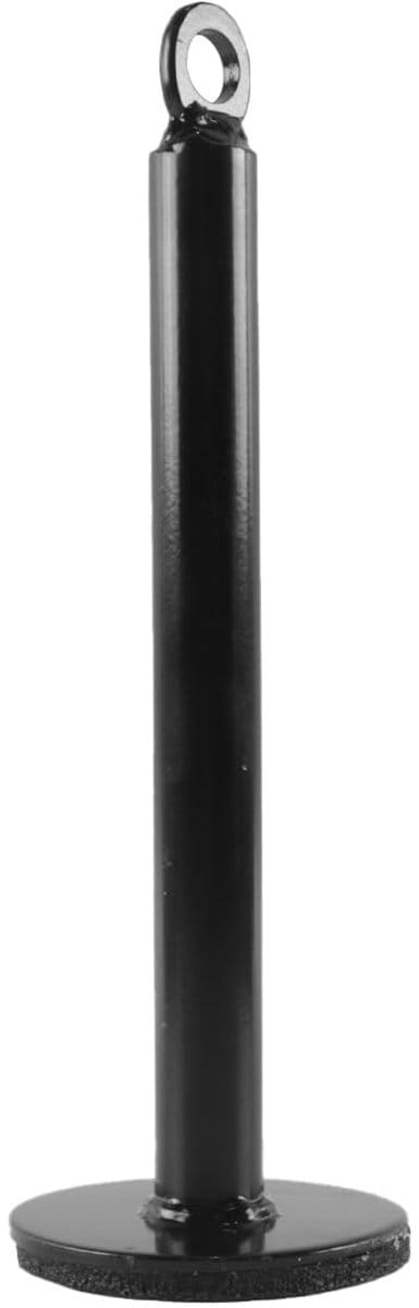 Dailygoods- Gewichtsstanglader - Oplaadpen - Roestvrij Staal - Ondersteuningsframe - Veiligheid - Fitnessapparatuur 20x220 mm - Halterschijfpen