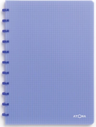 Schrift atoma a4 ruit 5x5mm 144blz 90gr transp ass | 10 stuks