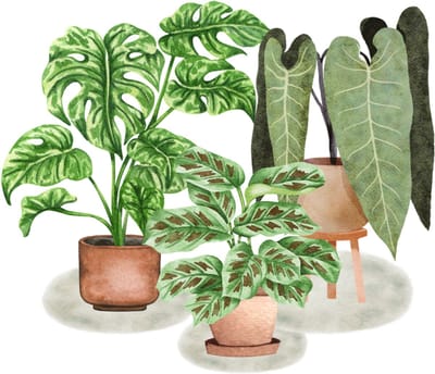 Blanco wenskaart drie planten op de grond – 13x13 cm – gevouwen kaart – inclusief witte envelop – stevig papier – wenskaart