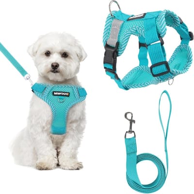 Verstelbare en Ademend Hondentuig met Leash, Antiklap Tuigje voor Kleine en Middelgrote Honden, Reflecterende Strepen en Comfortabel Ontwerp