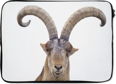 Laptophoes 13 inch - Steenbok - Dieren - Hoorn - Laptop sleeve - Binnenmaat 32x22,5 cm - Zwarte achterkant