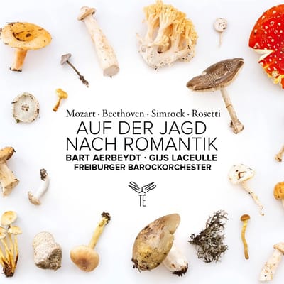 Freiburger Barockorchester Gottfrie - Auf Der Jagd Nach Romantik (CD)