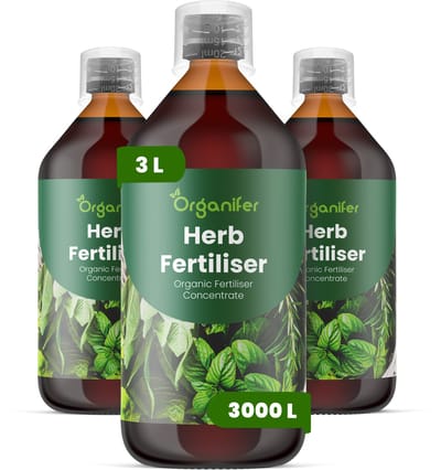 Vloeibare Meststof Voor Kruiden 3X1 L Voor 3000 L - Npk 3-4-3 - Аromatische Groei, Hoge Bladdichtheid, Intense Smaak, Groeiroutine Na Herhaald Oogsten, Verhoogt De Concentratie Van Essentiële Oliën Voor Superieure Culinaire Kwaliteit - Organifer