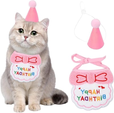 Verjaardagshoorntjes voor Honden en Katten - Feestelijke Verjaardag Bib en Decoratie Set, Dieren Kostuum en Hoofddeksel (Roze)