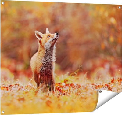 Gards Tuinposter Vos in het Bos tussen de Bladeren - 100x80 cm - Tuindoek - Tuindecoratie - Wanddecoratie buiten - Tuinschilderij
