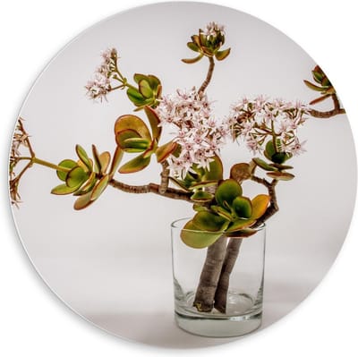 Forex Wandcirkel - Vaas met Bloemstuk - 80x80cm Foto op Wandcirkel (met ophangsysteem)
