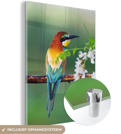 MuchoWow® Glasschilderij 30x40 cm - Schilderij acrylglas - Vogel - Bijeneter - Bloemen - Foto op glas - Schilderijen