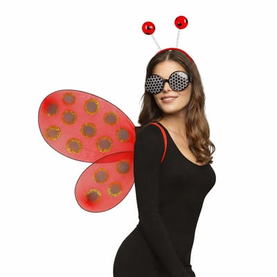 Boland Lieveheersbeestje set - rood - volwassen - carnavalsaccessoires - foute party