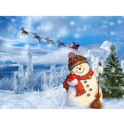 5d bricolage diamant peinture noël bonhomme de neige paysage diamant peinture broderie point de croix 20X30CM gray