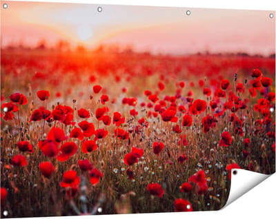 Gards Tuinposter Rode Klaprozen Bloemenveld Zonsondergang - 120x80 cm - Tuindoek - Tuindecoratie - Wanddecoratie buiten - Tuinschilderij