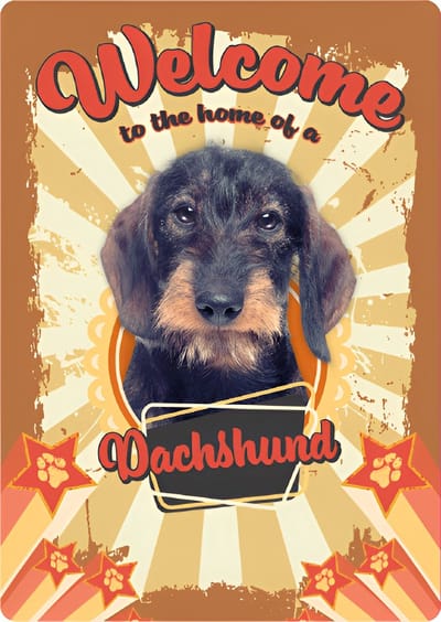 Plenty Gifts - Geïllustreerd Blikken Bord | 'Welcome to the Home of a Dachshund' | 21x14.8 cm | Wanddecoratie voor binnen en buiten