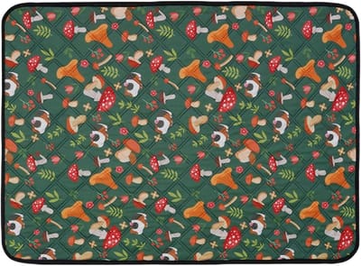 Cavia Bodembedekking - Wasbare Plasmatten - Schoon Verblijf - Vochtabsorberend - 61x45cm - Grijs