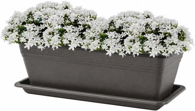 Plasticforte Plantenbak met water opvangschotel - antraciet - rechthoek - 50 x 18 x 15 cm - balkon - terras - kunststof