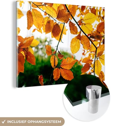 MuchoWow® Glasschilderij 40x30 cm - Schilderij acrylglas - Herfstbladeren - Boom - Landelijk - Foto op glas - Schilderijen