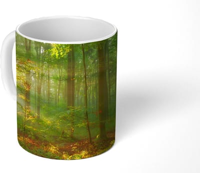 Mok - Koffiemok - Zon - Bos - Bomen - Natuur - Herfst - Mokken - 350 ML - Beker - Koffiemokken - Theemok