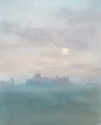 Fotobehang - Hazy Hush 200x250cm - Vliesbehang