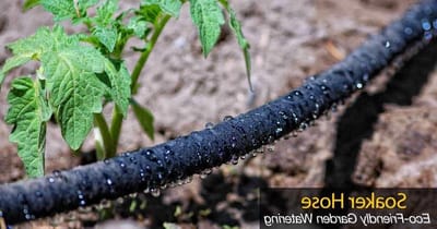 Soaker Slang - Druppelslang Besproeiing - Waterbesparend Tuinieren - Zware Kwaliteit Rubber - 7.6 Meter - Zwart