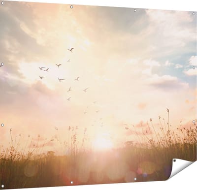 Gards Tuinposter Silhouet Vogels tijdens Zonsopkomst - 150x120 cm - Tuindoek - Tuindecoratie - Wanddecoratie buiten - Tuinschilderij