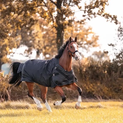 2in1 outdoor en stapmolen paarden staldeken Kavalkade Halifax