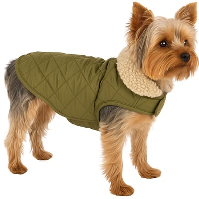 Hondenjas – Flamingo Bonnie – honden jas – hondenjasjes winter – hondenjas waterdicht – 30 cm – A:30cm B:31-32cm C:46-49cm – groen
