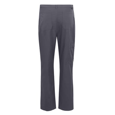 Regatta Heren Dalry Multi Pocket Broek (Afdichting Grijs)