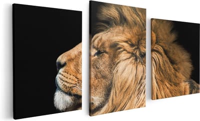 Artaza Canvas Schilderij Drieluik Leeuw - 120x60 - Foto Op Canvas - Canvas Print
