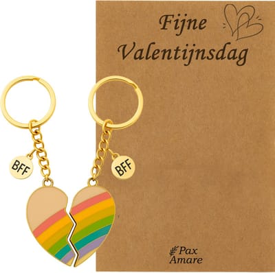 Koppel Sleutelhanger voor 2 'Fijne Valentijnsdag' - Magnetisch Regenboog Hartje - Sleutelhanger set op Cadeau Kaartje - Goudkleurig - Vriendschap of Relatie Symbool - Pax Amare