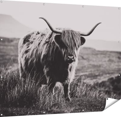 Gards Tuinposter Schotse Hooglander Koe - Zwart Wit - 150x120 cm - Tuindoek - Tuindecoratie - Wanddecoratie buiten - Tuinschilderij